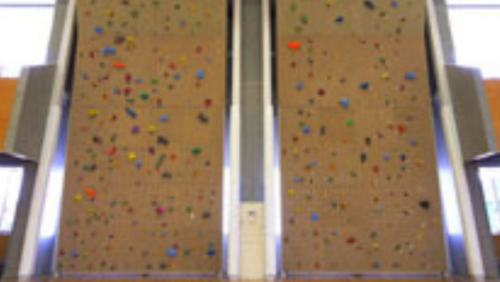 千葉県のクライミング施設「松山下公園総合体育館」